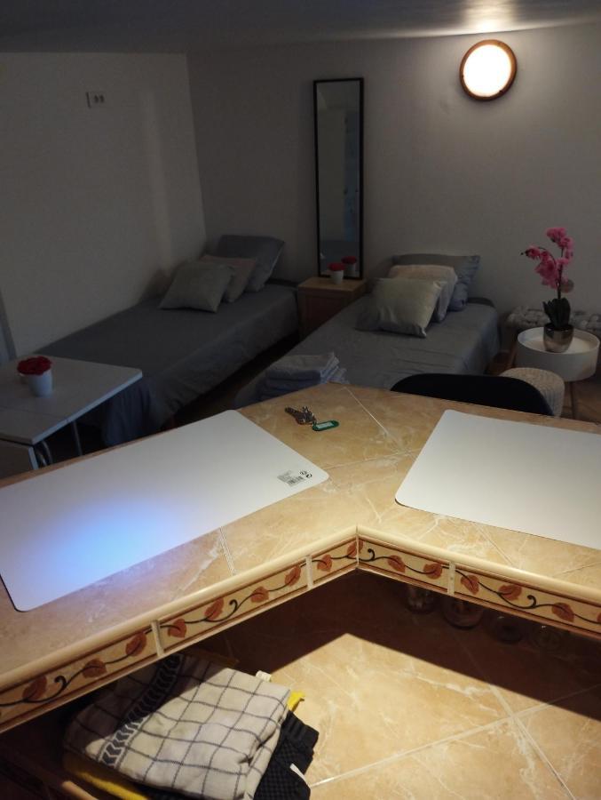 Studio Meuble Avec Piscine Partagee ラ・フェルテ・ゴシェ エクステリア 写真